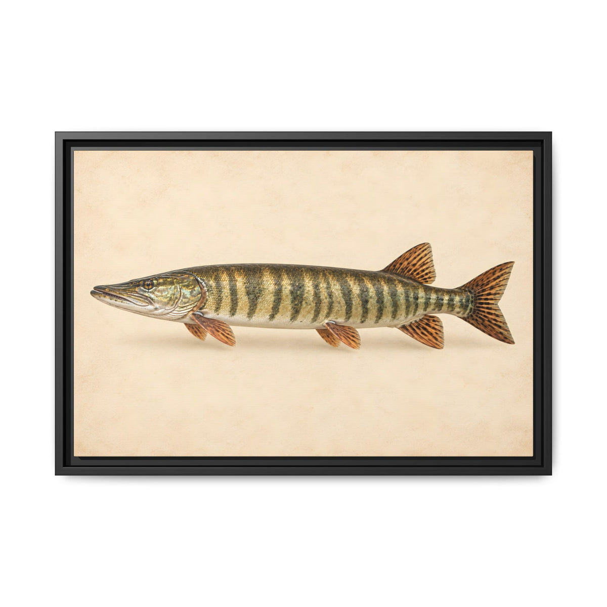 Muskellunge Field Study Framed Canvas wall art, view 3