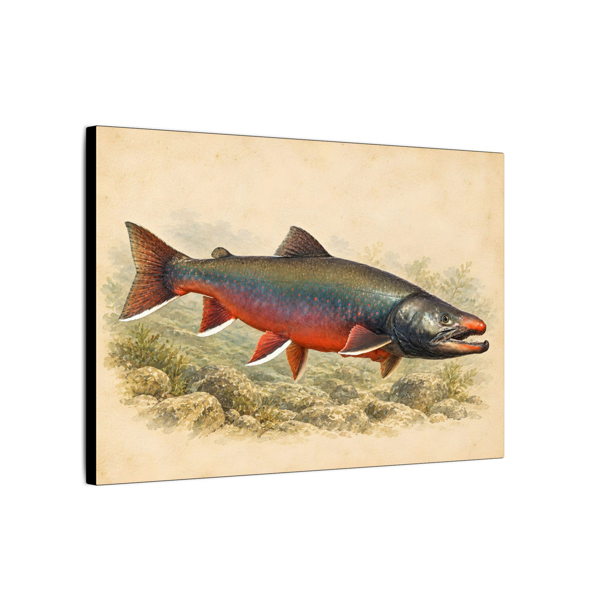 Field Study Dolly Varden canvas wall art, view 4