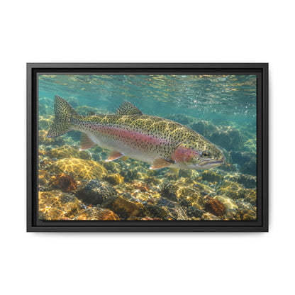 Sunlit Gravel Run Rainbow Trout framed canvas wall art, view 2