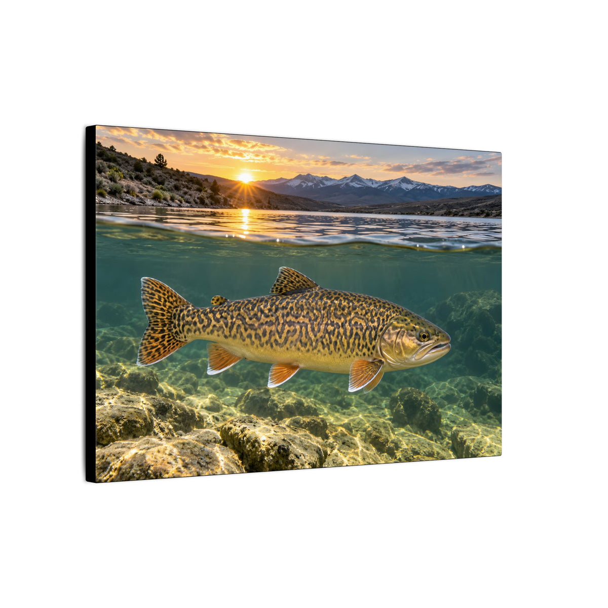 High Desert Sunrise Tiger Trout canvas wall art, view 4