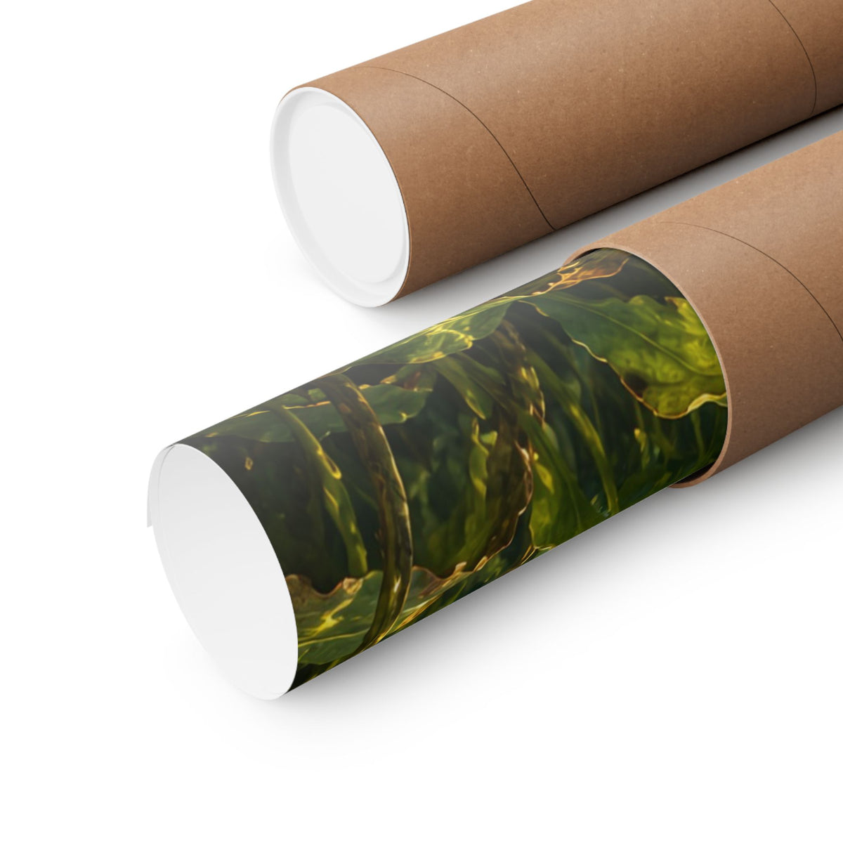 Autumn Cabbage Northern Pike poster shipped rolled in a protective tube