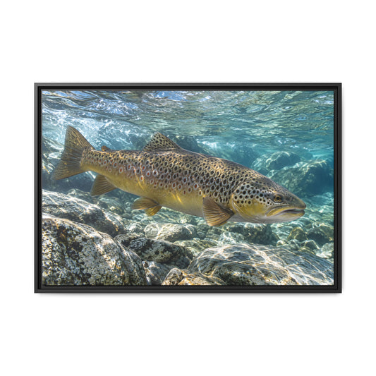 Emerald Undercut Brown Trout framed canvas wall art