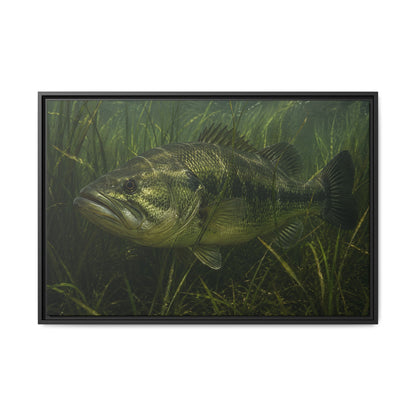 Grass Bed Ambush Largemouth Bass framed canvas, 18x12 size view