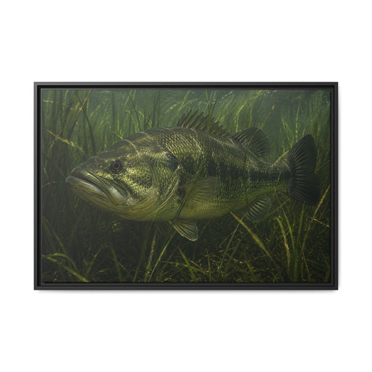 Grass Bed Ambush Largemouth Bass framed canvas, 18x12 size view