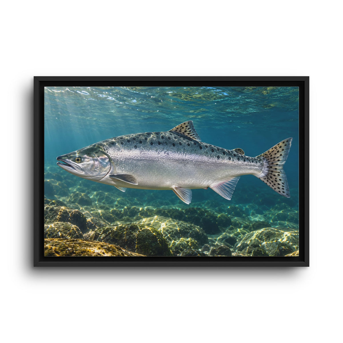 Silver Tide Pink Salmon framed canvas wall art, view 2