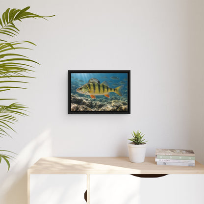 Rocky Reef Yellow Perch framed canvas wall art, view 5