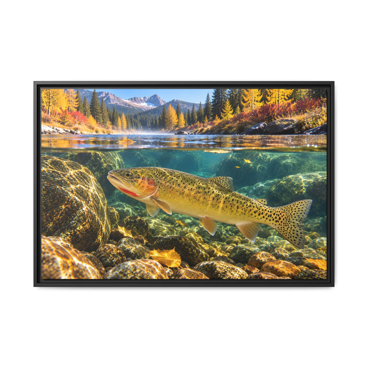 St. Joe Autumn Cutthroat Trout framed canvas, 36x24 size view