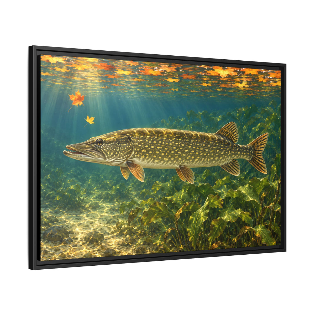 Autumn Cabbage Northern Pike framed canvas side angle