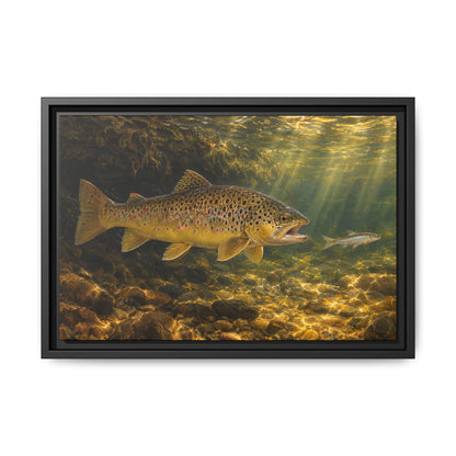 Streamer Chase Brown Trout framed canvas, 24x16 size view