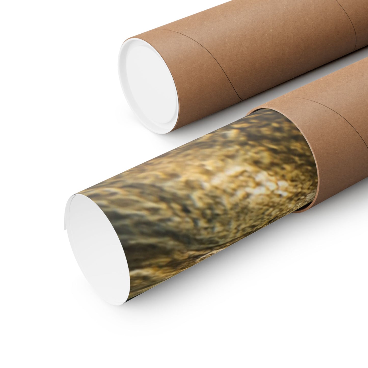 Smallmouth Bass (Micropterus dolomieu) in the Current Seam — Matte Horizontal Wall Art for Anglers