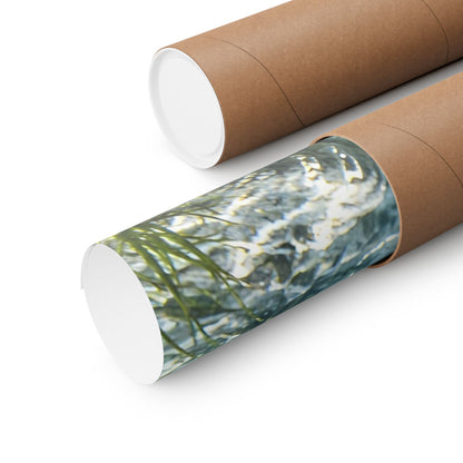 Crystal Spring Passage Largemouth Bass poster shipped rolled in a protective tube