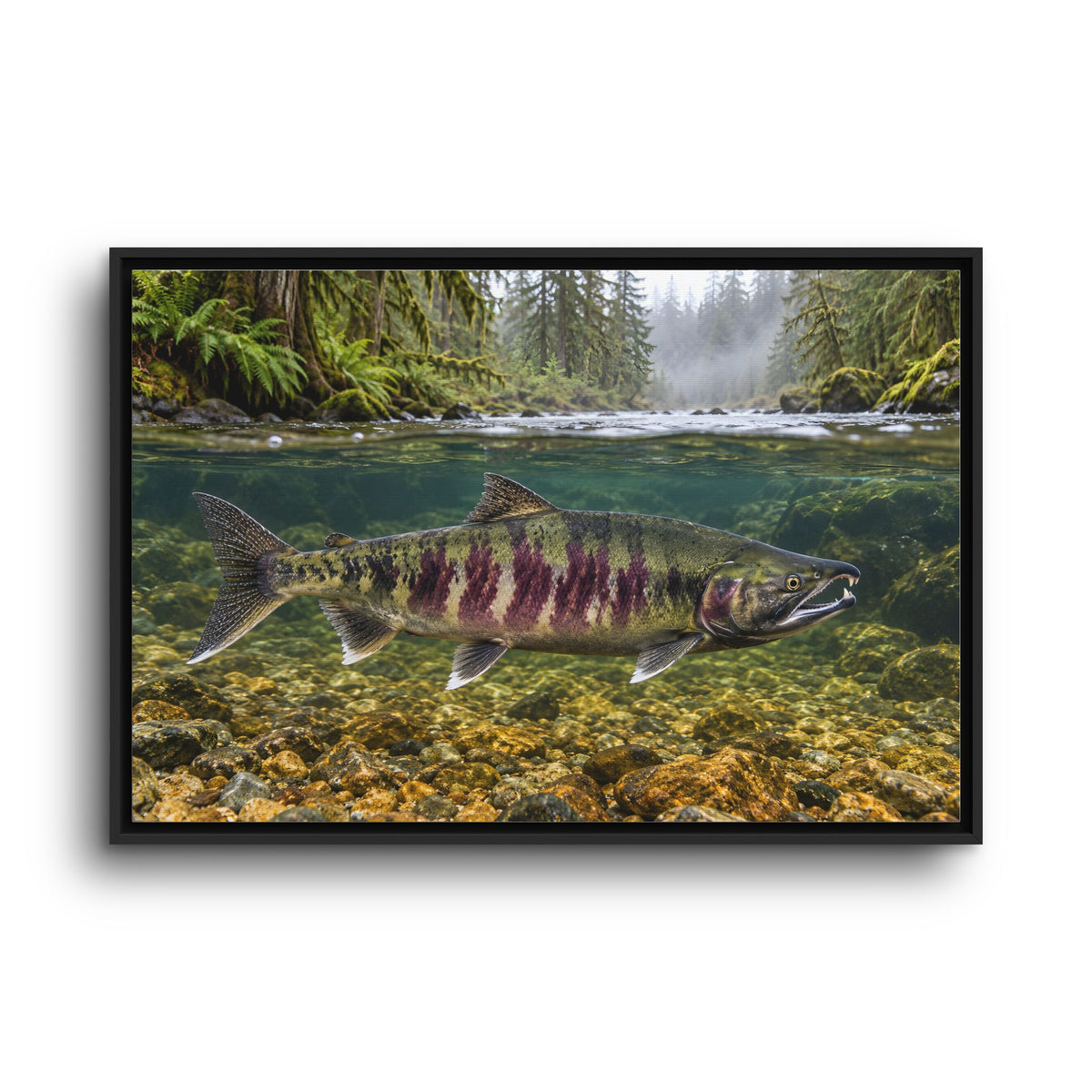 Rainforest River Chum Salmon framed canvas wall art, view 3