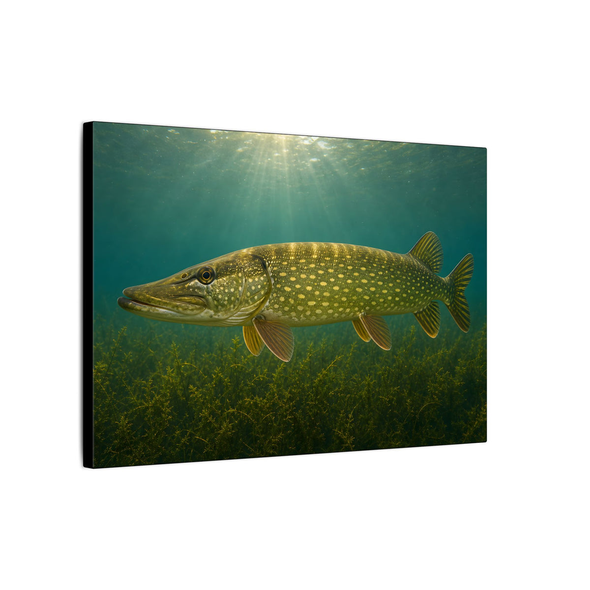 Over the Weed Bed Northern Pike canvas side angle
