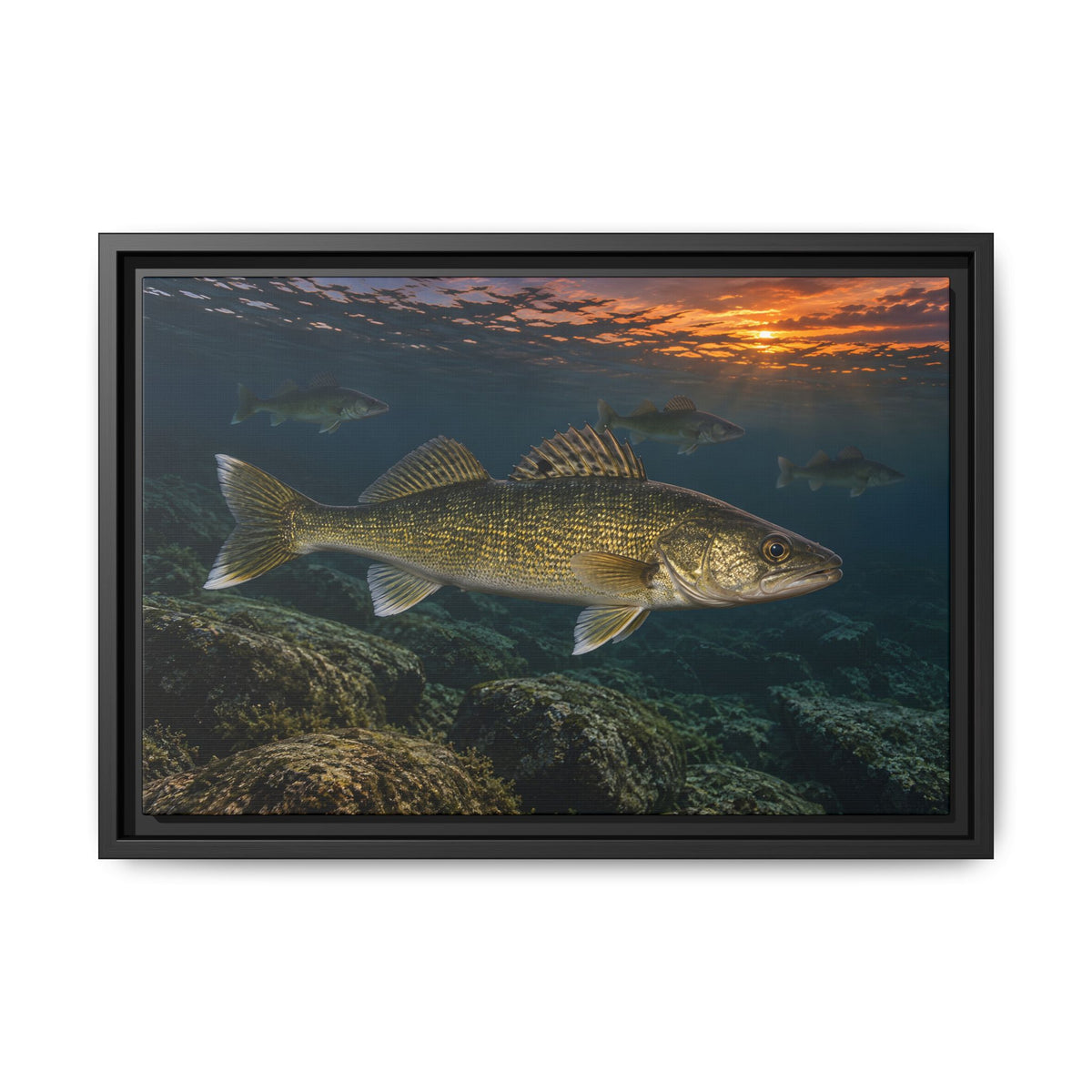 Reef Pack at Dusk Walleye framed canvas, 24x16 size view