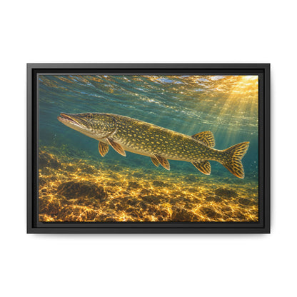 Golden Current Northern Pike framed canvas, 24x16 size view