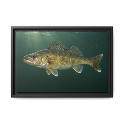 Big Water Trophy Walleye framed canvas, 24x16 size view