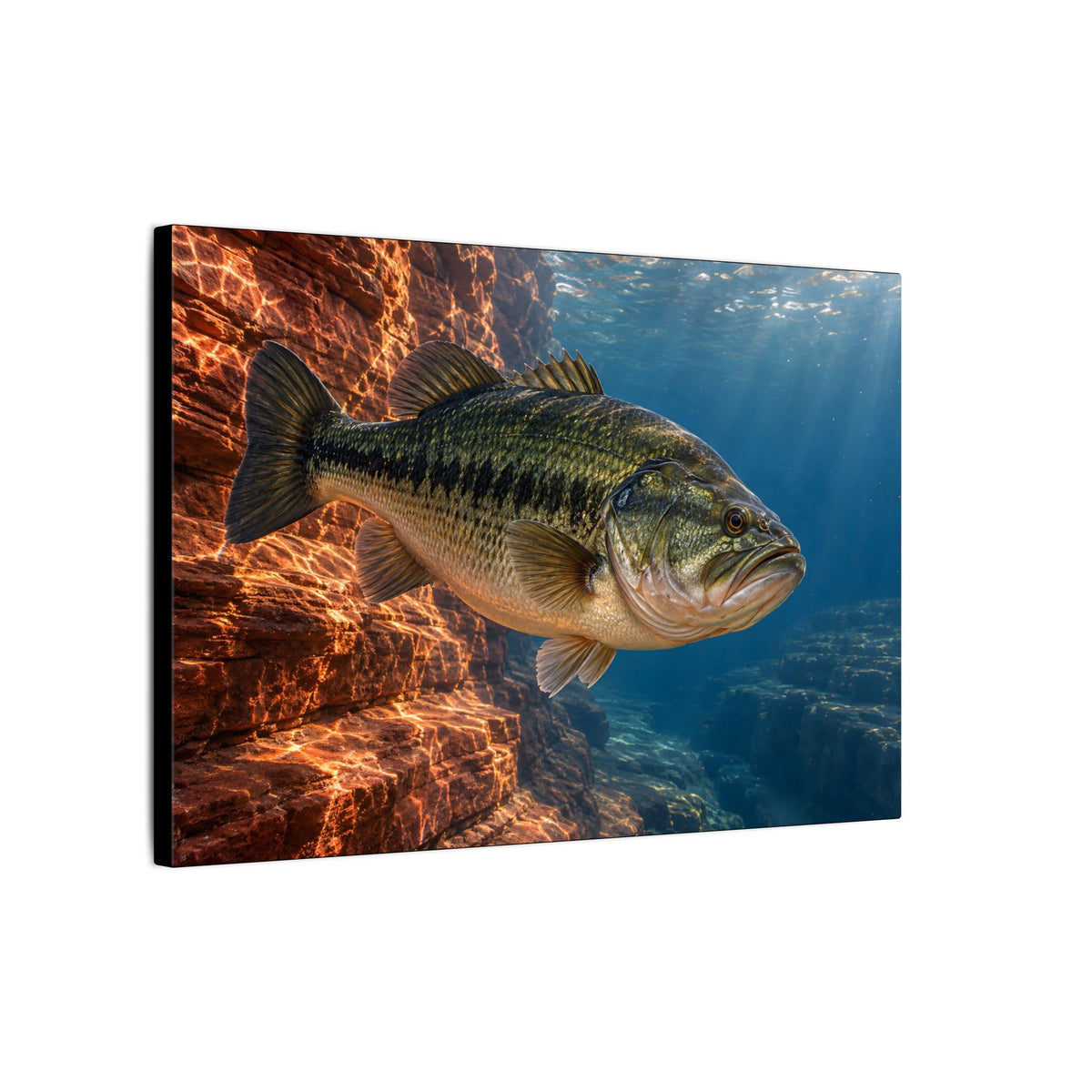 Rust-Red Canyon Glow Largemouth Bass canvas side angle