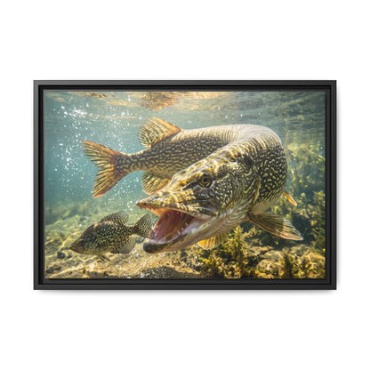 Northern Pike Crappie Chase Framed Canvas — Ready-to-Hang Wall Art for Anglers