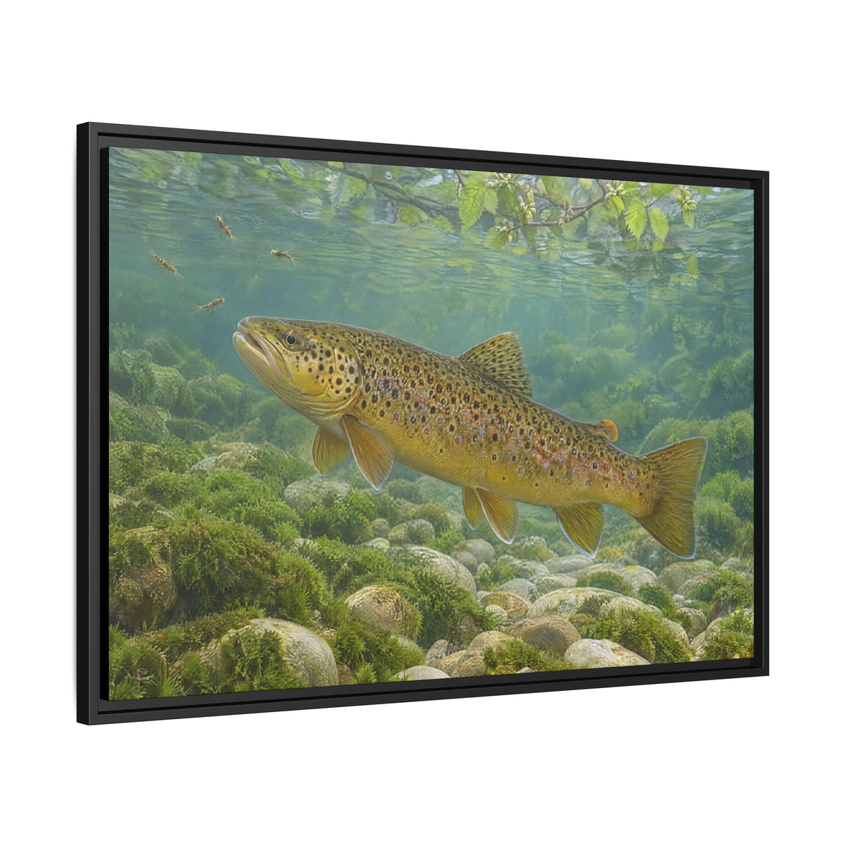 Mourning Creek Brown Trout framed canvas wall art, view 4