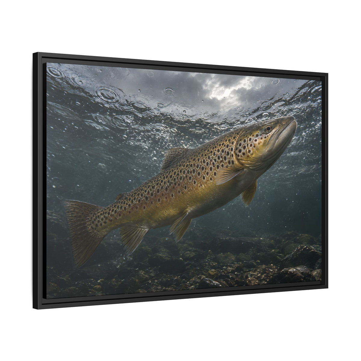 Rainwater Rise Brown Trout framed canvas wall art, view 4