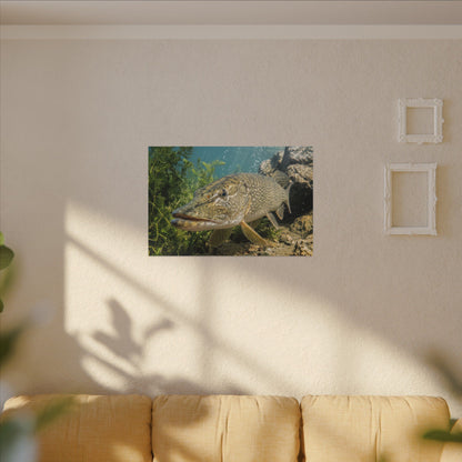 Northern Pike Clear Water Portrait Canvas — Limited Edition Wall Art for Anglers
