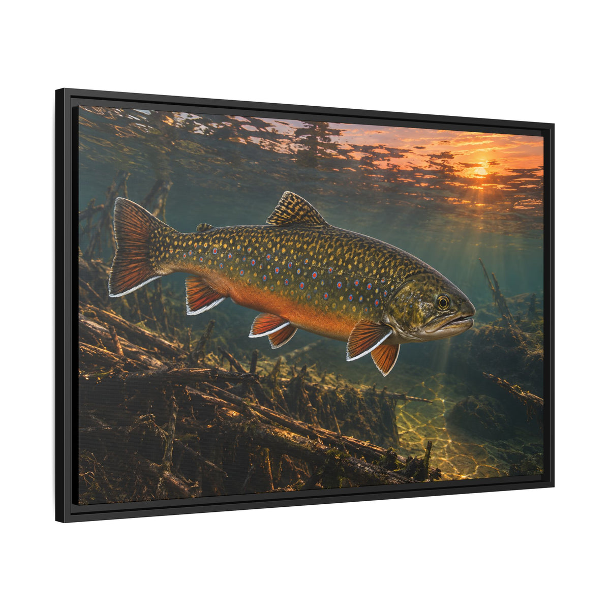 Sunset Beaver Dam Brook Trout framed canvas wall art, view 4