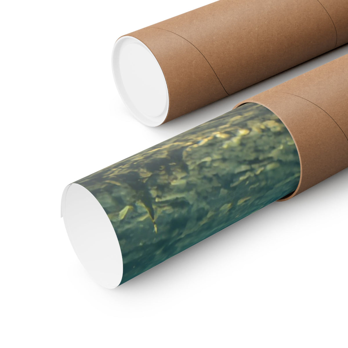 Reed Bed Cruiser Muskie Poster — Trophy Underwater Wall Art for Anglers