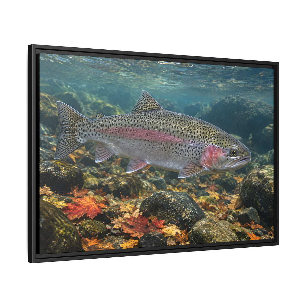 Autumn Rainbow Rainbow Trout framed canvas wall art, view 4