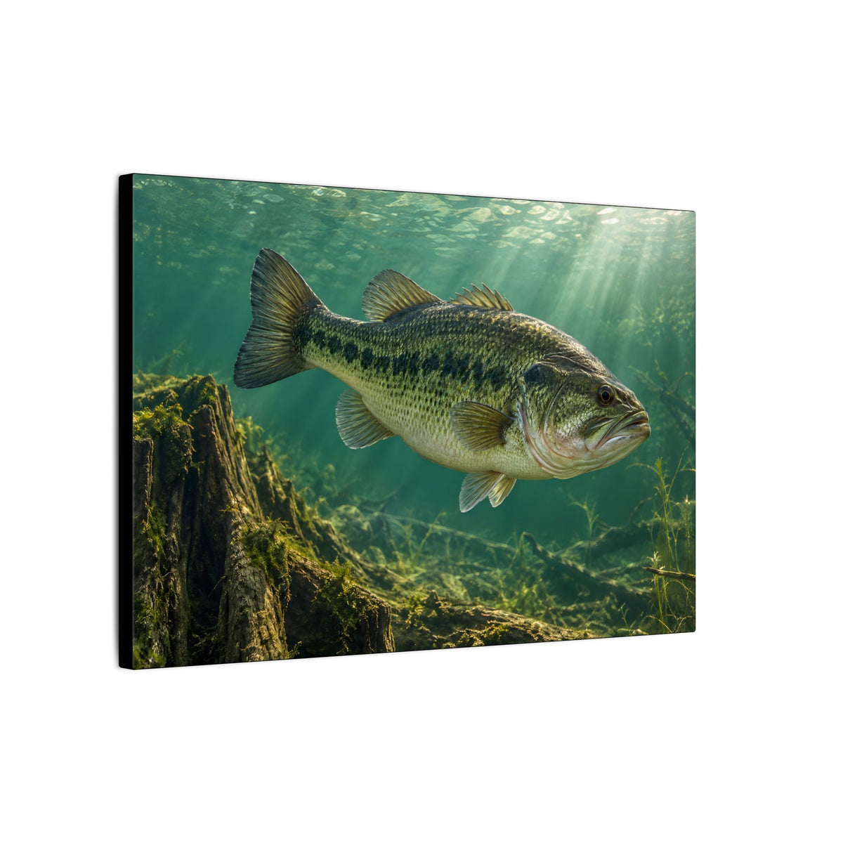 Jade Morning Mist Largemouth Bass canvas side angle