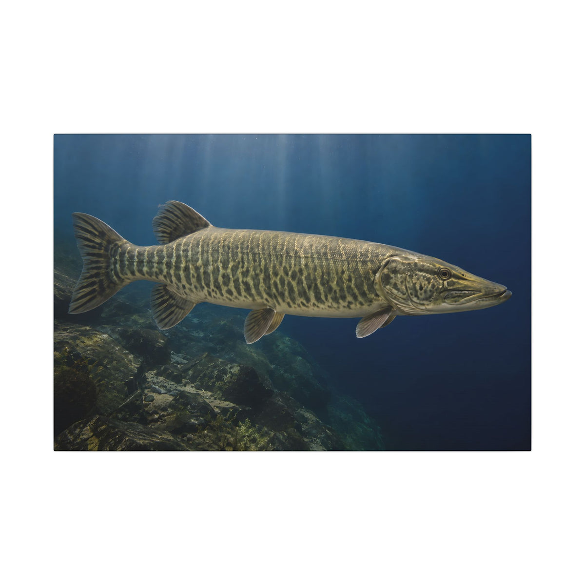 Blue Water Muskie Cruiser canvas, 24x16 size view