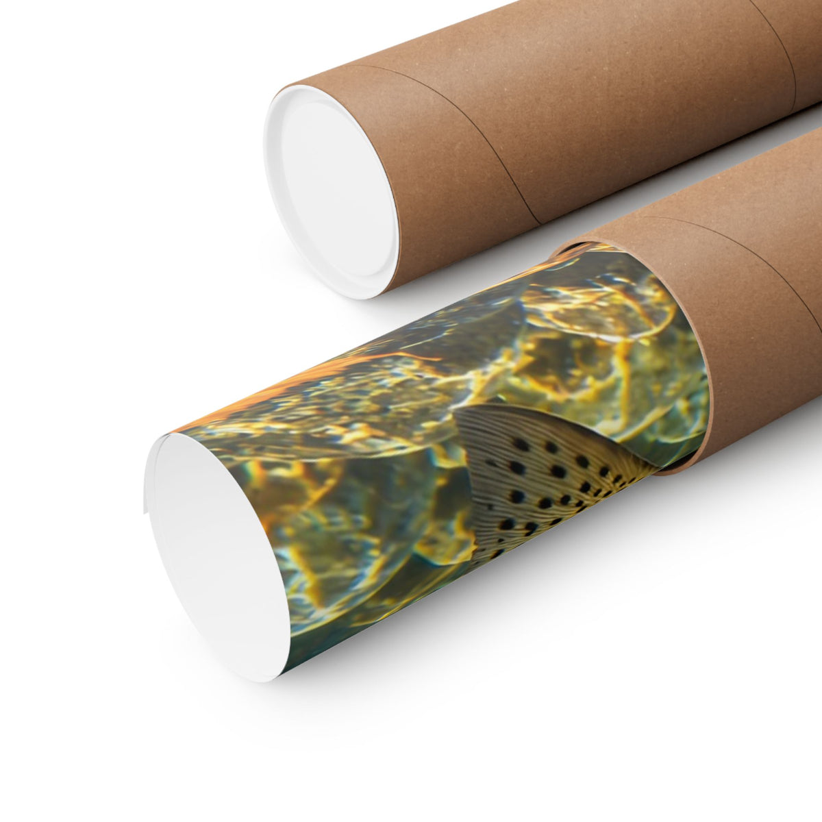 St. Joe Autumn Cutthroat Trout poster shipped rolled in a protective tube