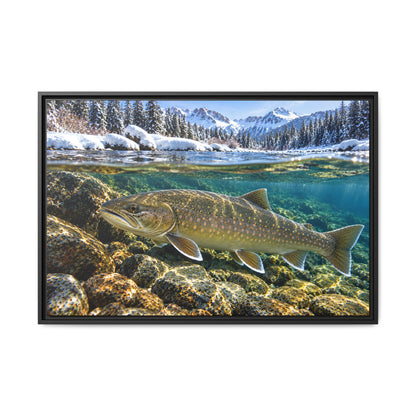 Snowy Mountain River Bull Trout framed canvas, 36x24 size view