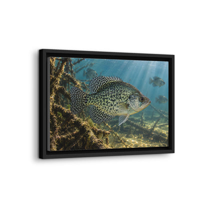 Brush Pile Crappie framed canvas wall art, view 4