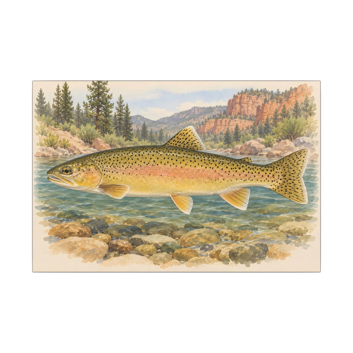 Gila Wilderness Watercolor Gila Trout canvas wall art, view 2