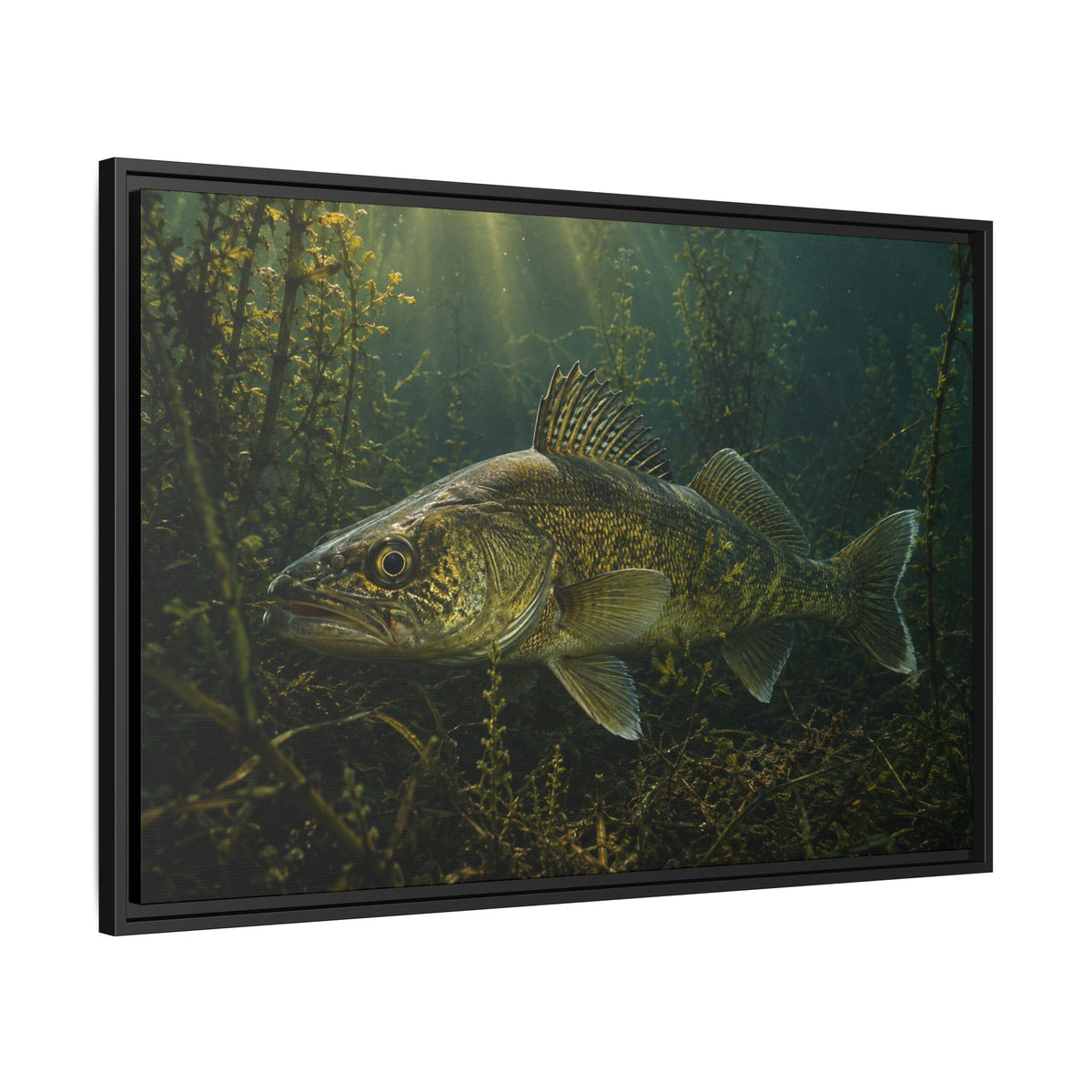 Weed Line Walleye framed canvas side angle