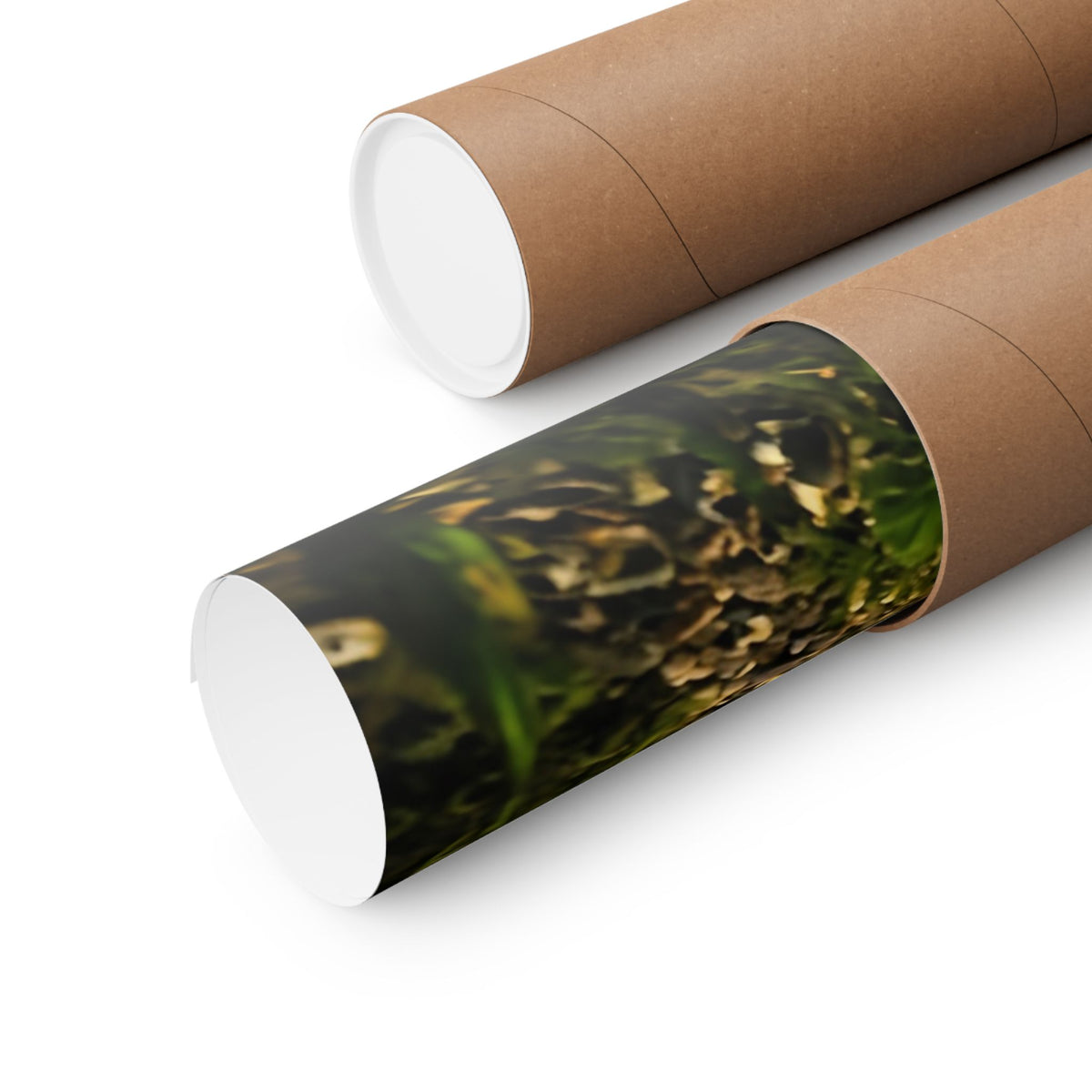 Golden Sunset Muskie Ambush Poster — Trophy Underwater Wall Art for Anglers