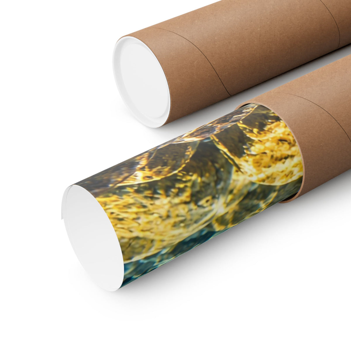 River Ambush Bull Trout poster shipped rolled in a protective tube