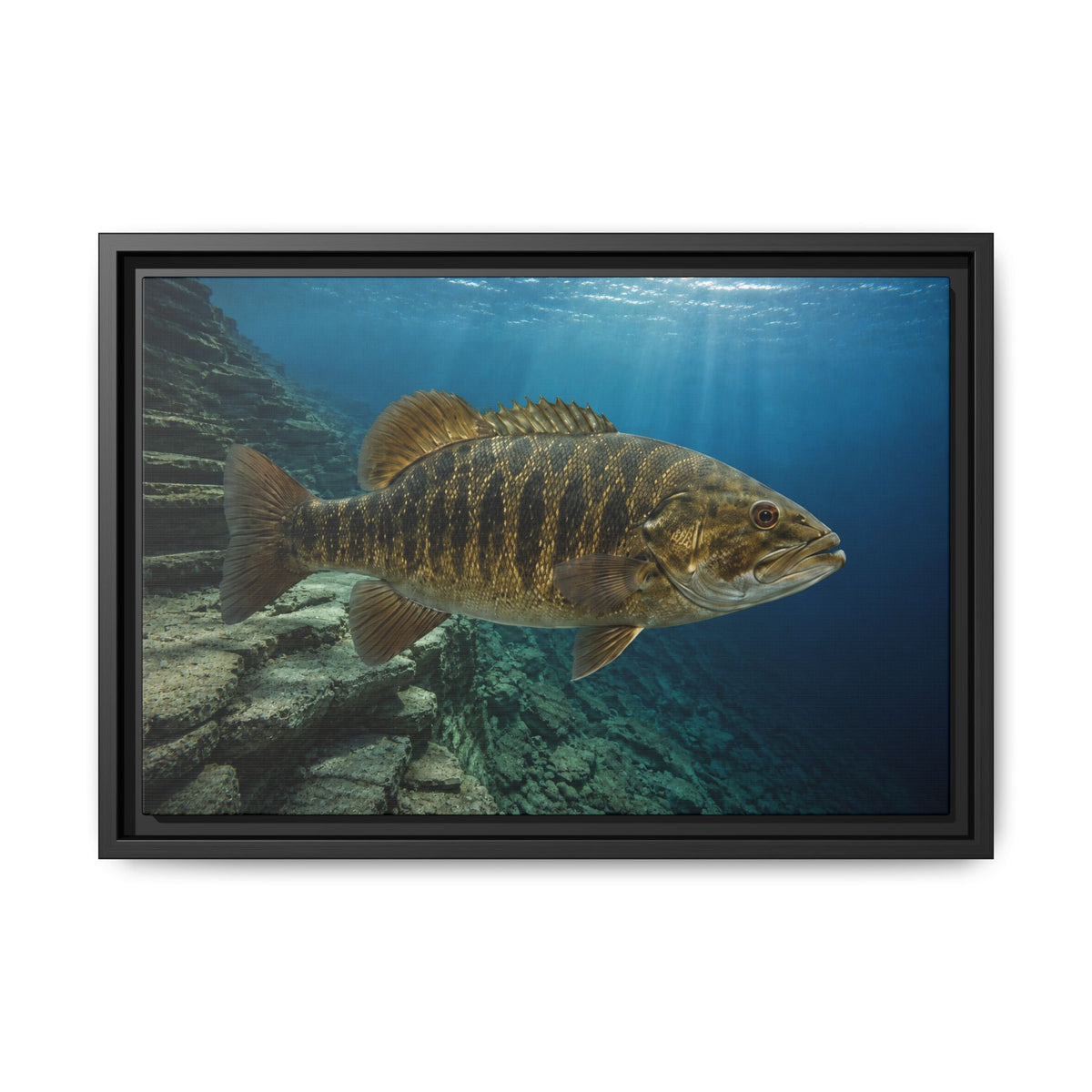 Deep Structure Smallmouth Bass framed canvas wall art, view 2