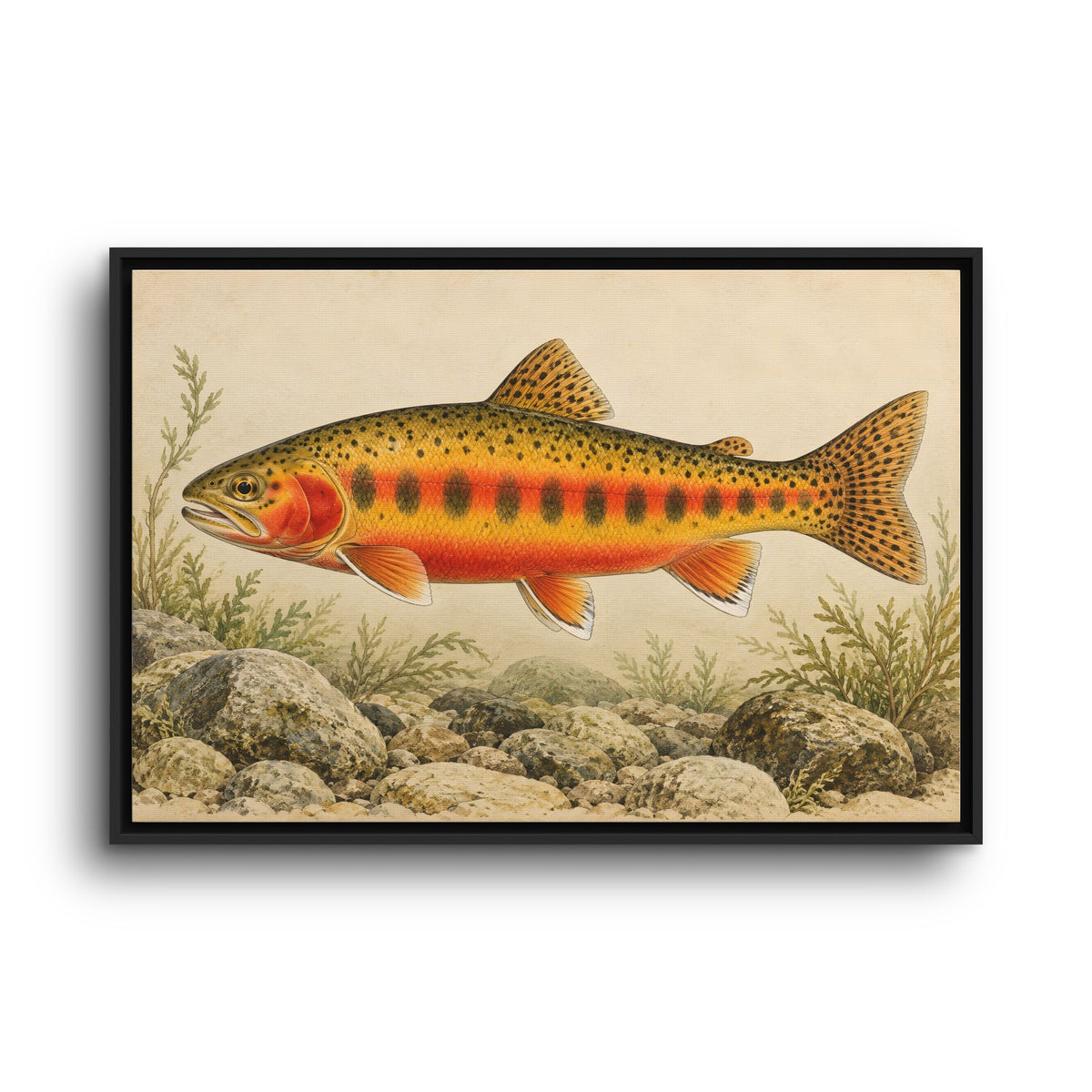 Vintage Stream Study Golden Trout framed canvas wall art, view 3