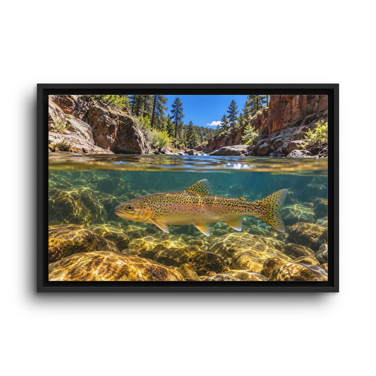 Red Rock Canyon Gila Trout framed canvas wall art, view 2