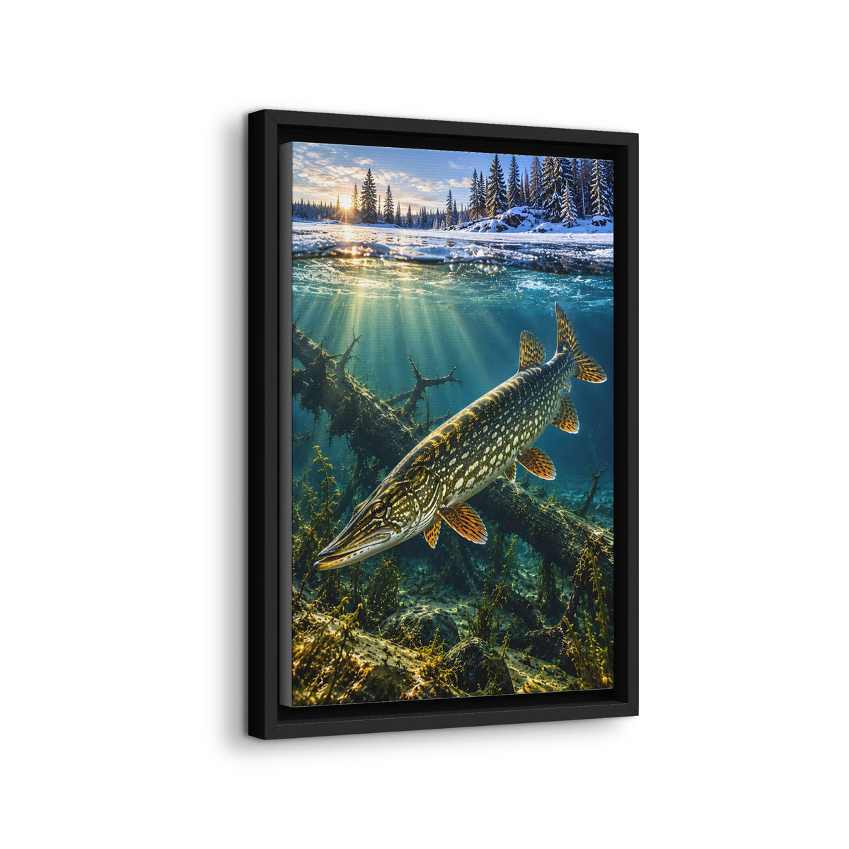 Winter Pike Beneath the Ice framed canvas wall art, view 4