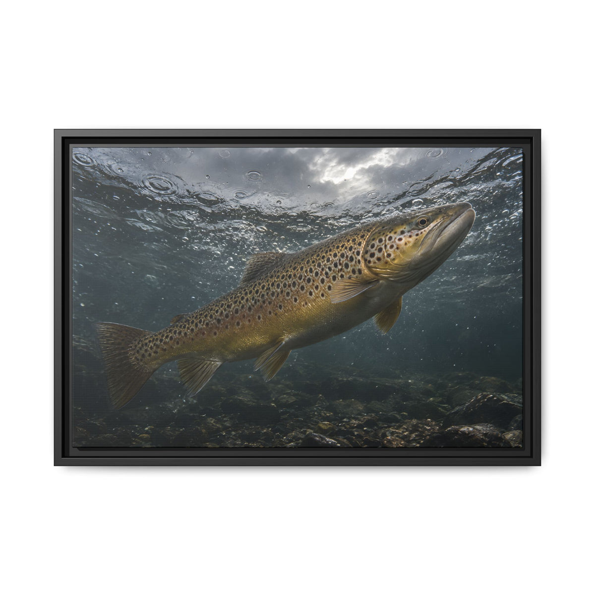 Rainwater Rise Brown Trout framed canvas wall art, view 3