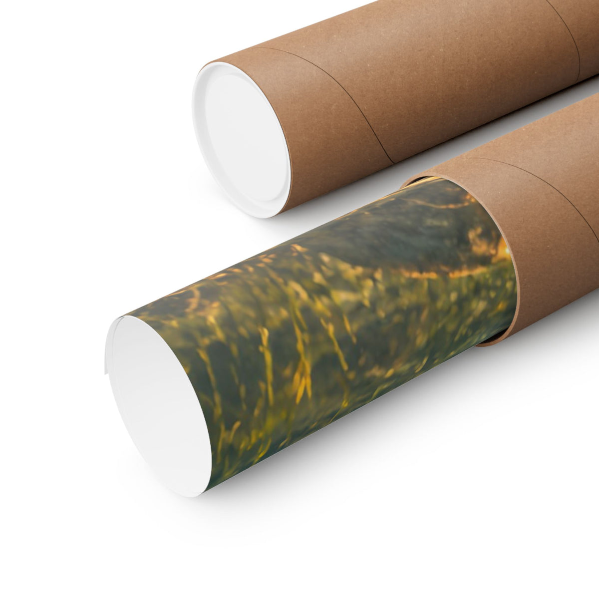 Golden Reeds Tiger Muskie poster wall art, view 5