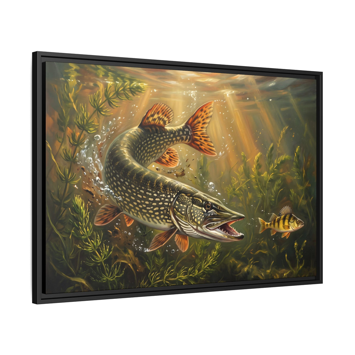 Perch Ambush Northern Pike framed canvas, side angle