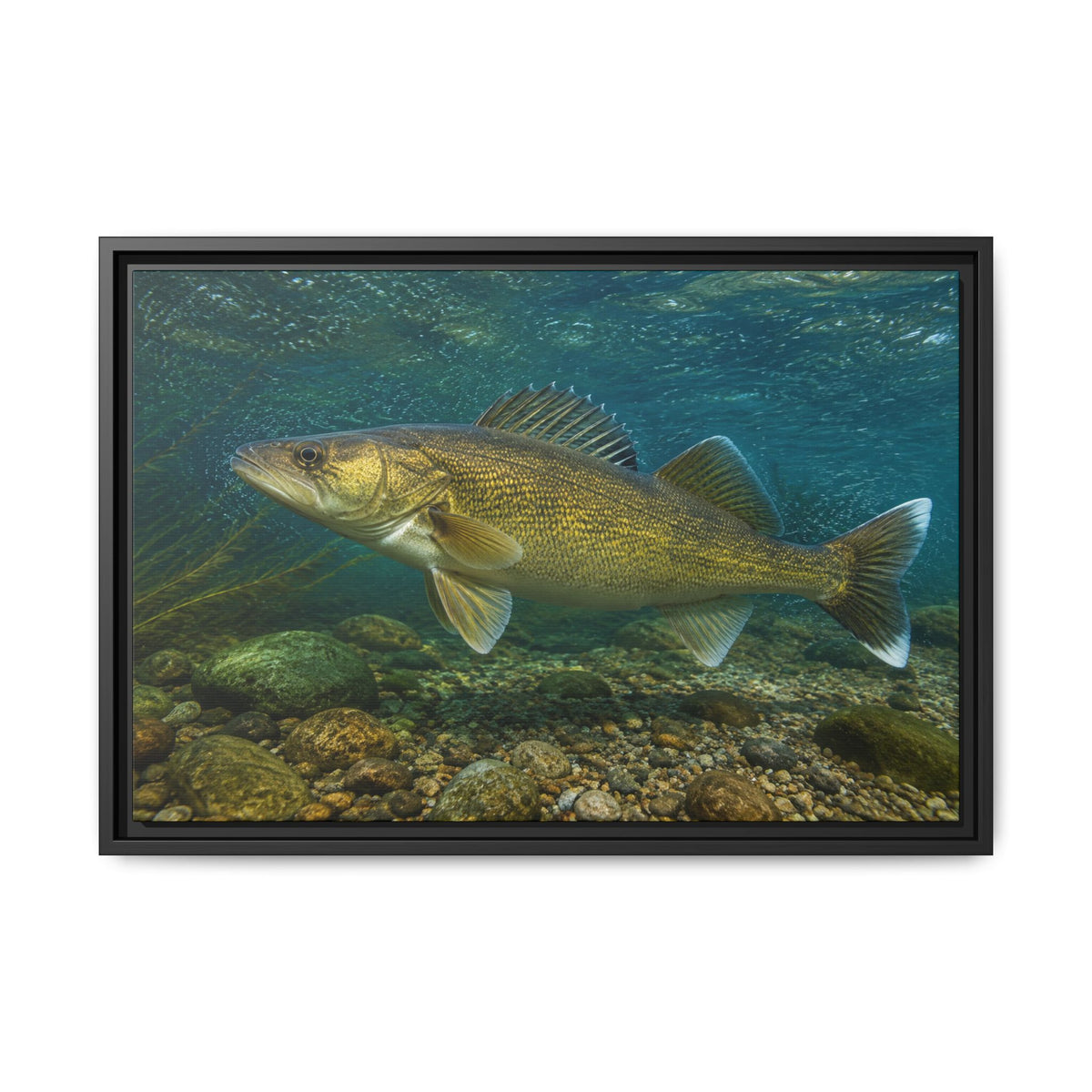 Current Seam Walleye framed canvas, 36x24 size view