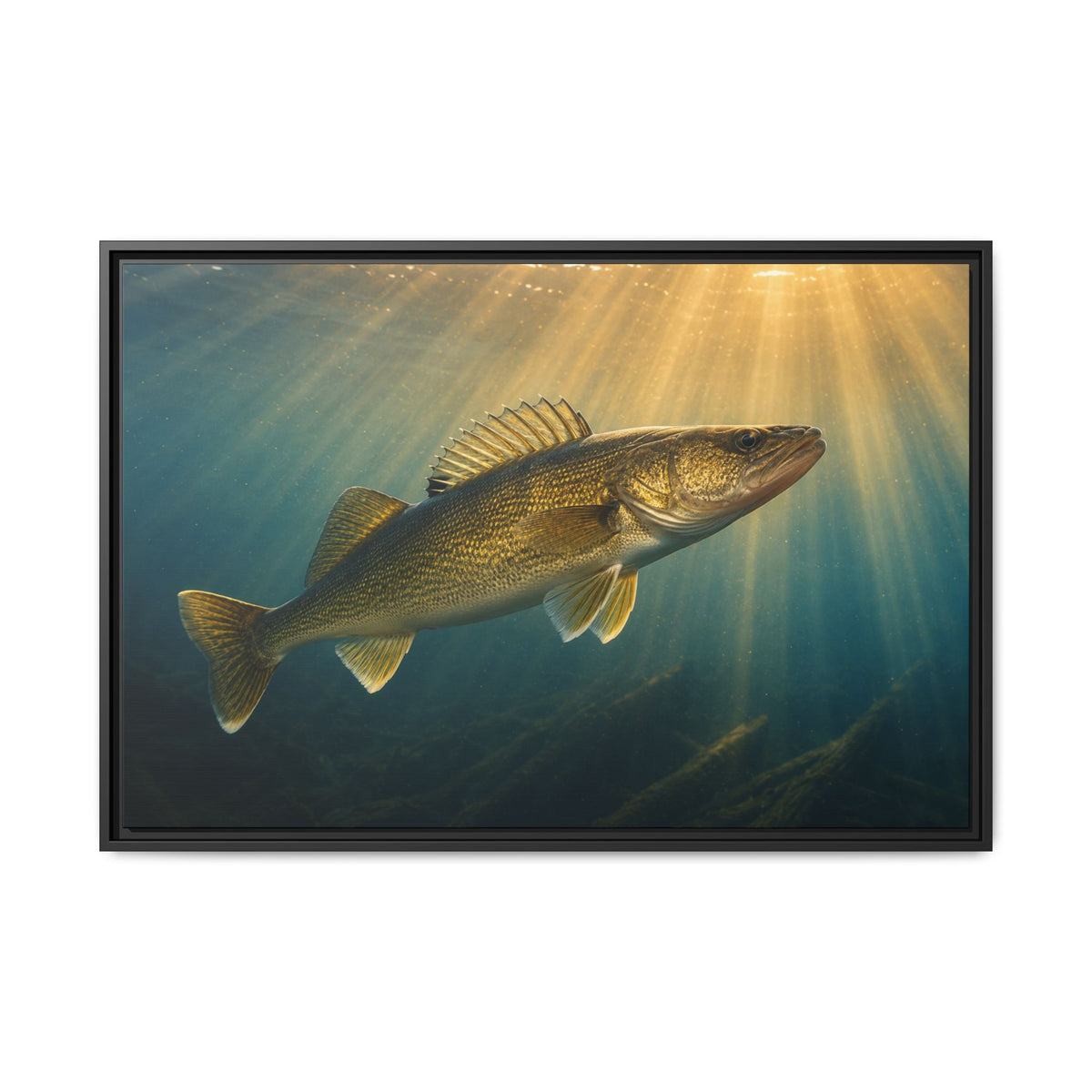 Backlit Sunbeam Cruise Walleye framed canvas, 18x12 size view