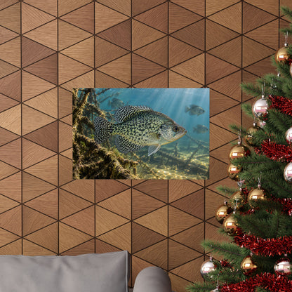 Brush Pile Crappie poster wall art, view 6