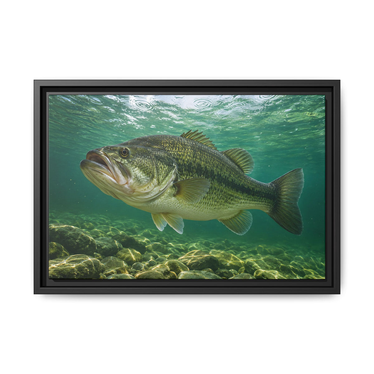 Emerald Rainlight Largemouth Bass framed canvas, 24x16 size view