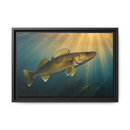 Backlit Sunbeam Cruise Walleye framed canvas, 24x16 size view