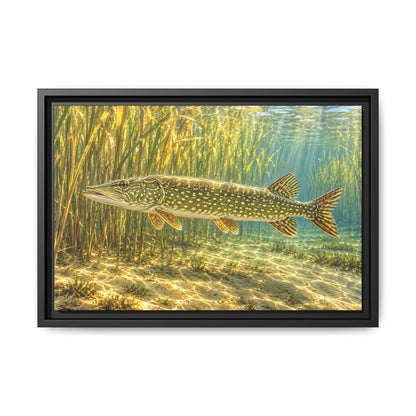 Sunlit Reed Edge Northern Pike framed canvas, 24x16 size view